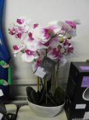 *Orchid Assortment in Pot