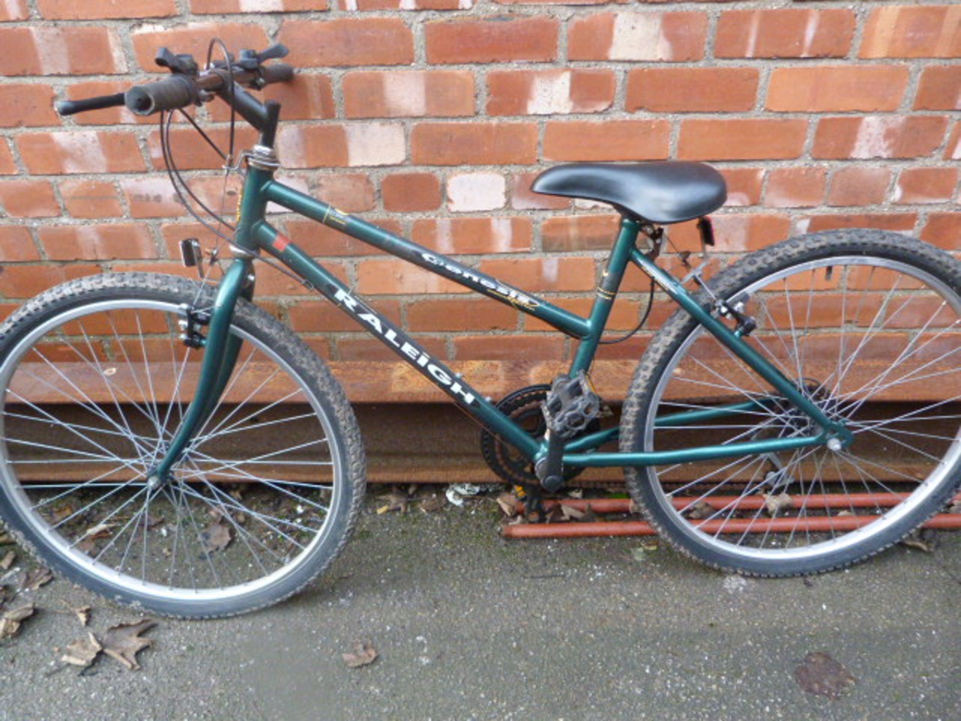 Raleigh Genesis Bicycle