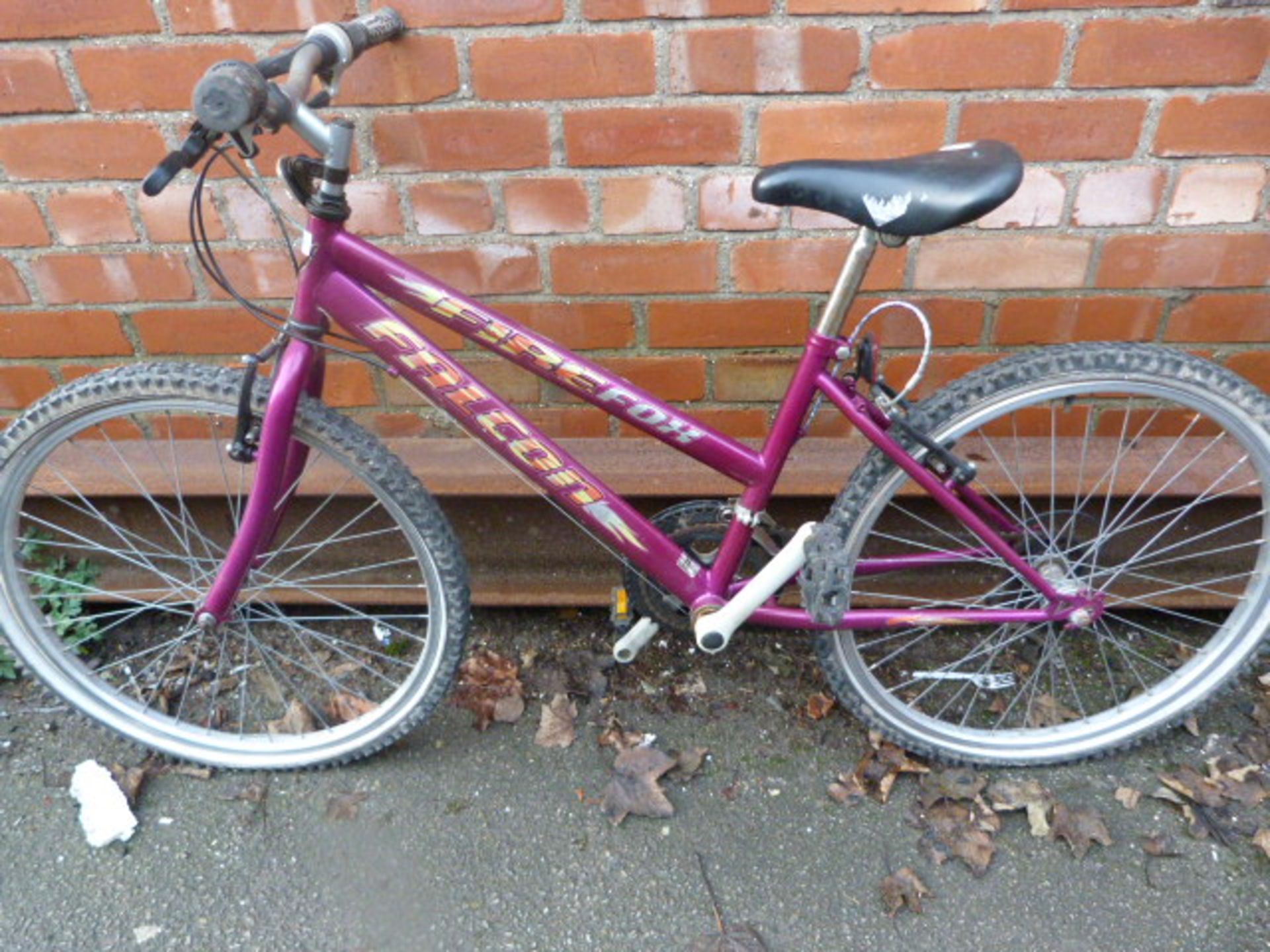 Firefox Falcon Bicycle