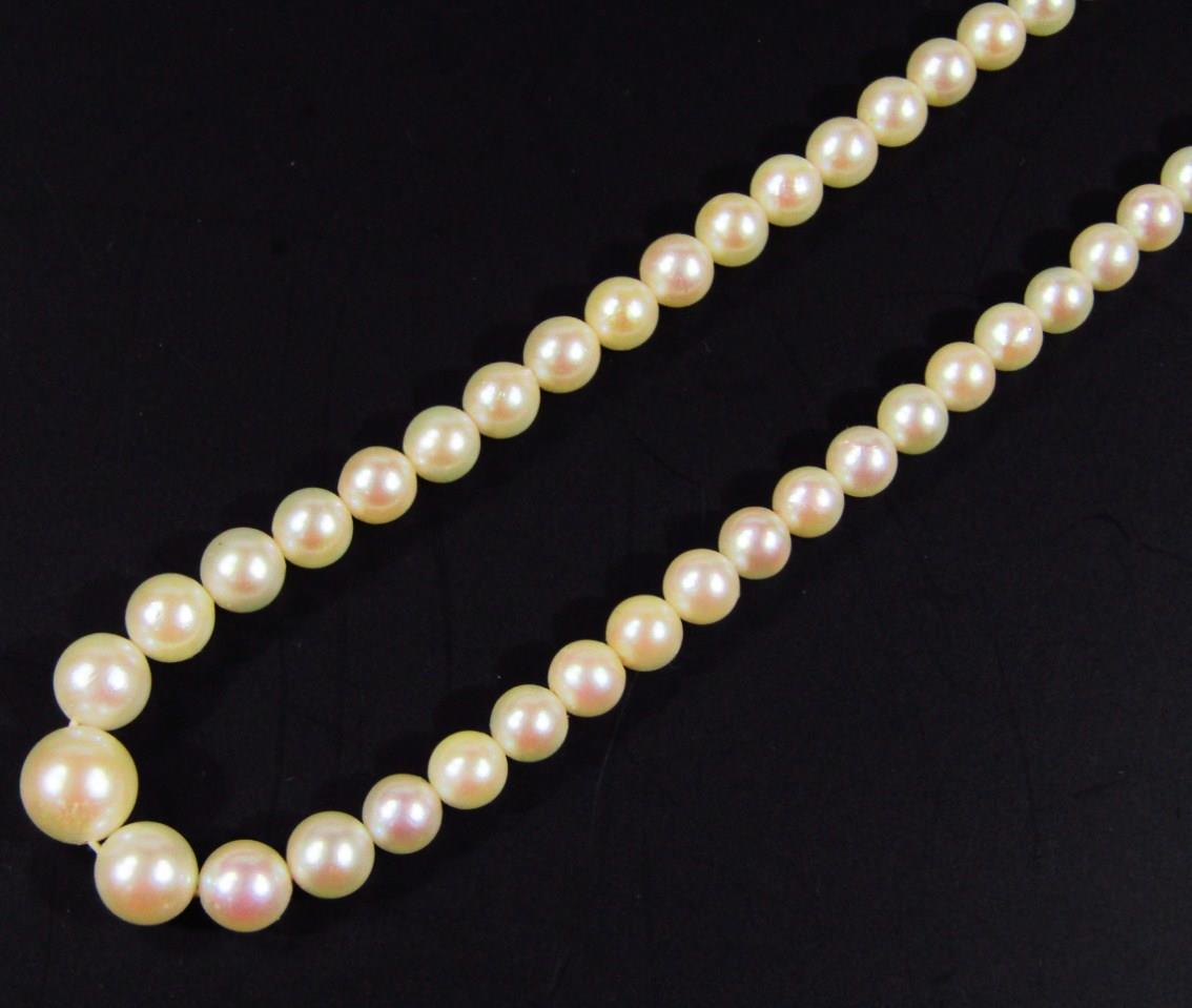 A ladies graduated pearl necklace, with elaborate 9ct gold clasp, set with further pearls and red