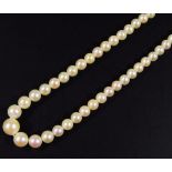 A ladies graduated pearl necklace, with elaborate 9ct gold clasp, set with further pearls and red