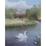 •Richard Robjent (b.1937). Mute swan on the river Test, 1997, watercolour, signed, artist's label