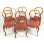 A set of six Victorian walnut balloon back dining chairs, each with a pierced rail, padded