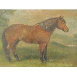 W V Yeomans (19th/20thC). Standing brown horse, oil on canvas, signed, 33cm x 42cm.