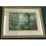 After Peter Robinson. The Forest Year, Spring, artist signed limited edition print, number 5/150