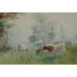 J MacLaren (1881-1917). Cattle grazing, watercolour, signed, 24cm x 34.5cm