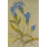 Kahatcha (20thC). Indian paintbrush, blue fringed gentians, watercolour - a pair, signed and titled,