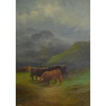 A Macalan (19thC). Highland cattle, oil on canvas - a pair, signed, 46cm x 31cm