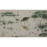 Michael Hampton (b.1937). Black Tailed Godwit on Silver Meadow Payham, watercolour, signed and
