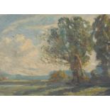 19th/20thC British School. Woodland landscape, oil on board, 24.5cm x 29.5cm