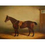 19thC British School. Bay in stable, oil on canvas, 49cm x 59cm