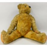 A large plush teddy bear, with canvas pads, hump to the reverse, 66cm high