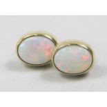 A pair of 9ct gold opal earrings, in oval stud form, with butterfly backs, boxed, 2g all in.