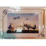 After Brian Petch. Battle of Britain, aviation print.