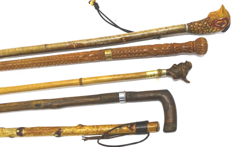 A collection of walking sticks etc., to include a Continental sword stick etc., Indian early 20thC.