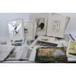 Various bookplates, prints, hunting scenes, insects, etc. (a large quantity, various dimensions)