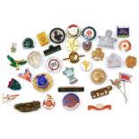 Various enamel and other badges, Young Conservative badge 2cm wide, various others, etc. (a