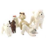 A collection of Beswick and other ceramic poodles, various sizes and designs