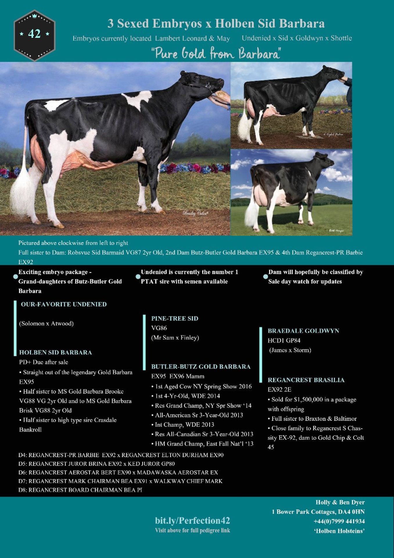 3 SEXED EMBRYOS X HOLBEN SID BARBARA