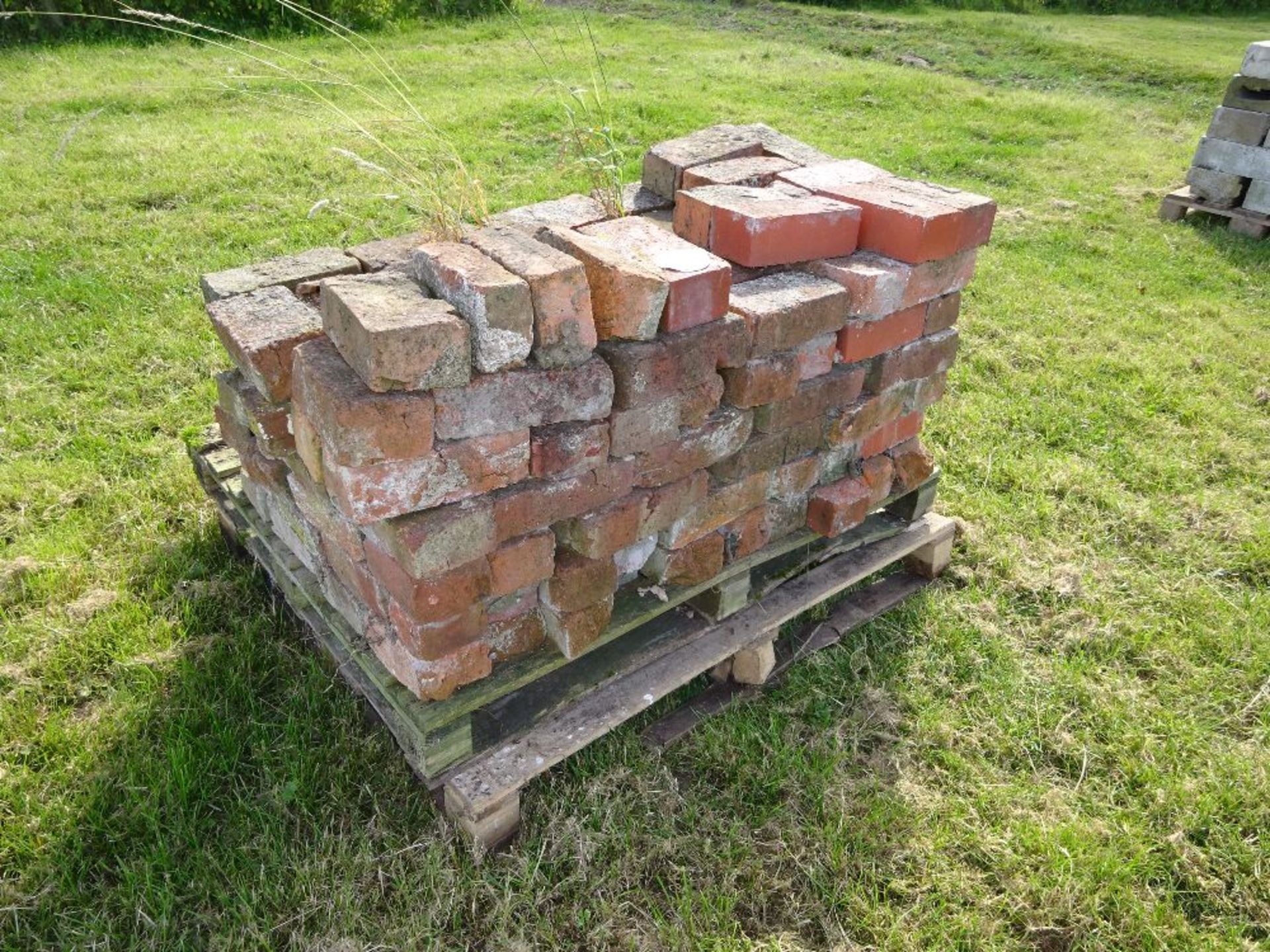 QUANTITY OLD BRICKS