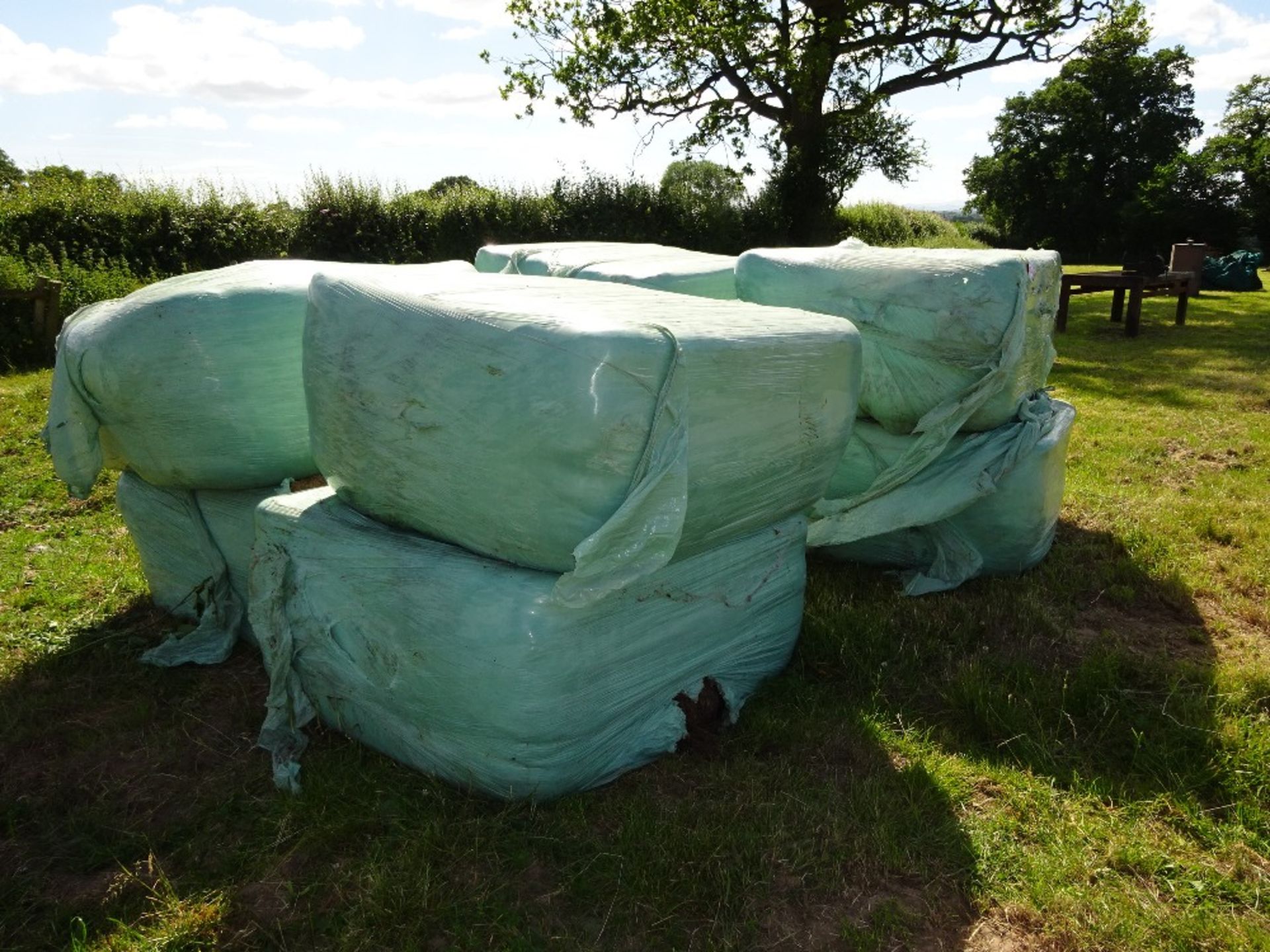 8 SILAGE BALES