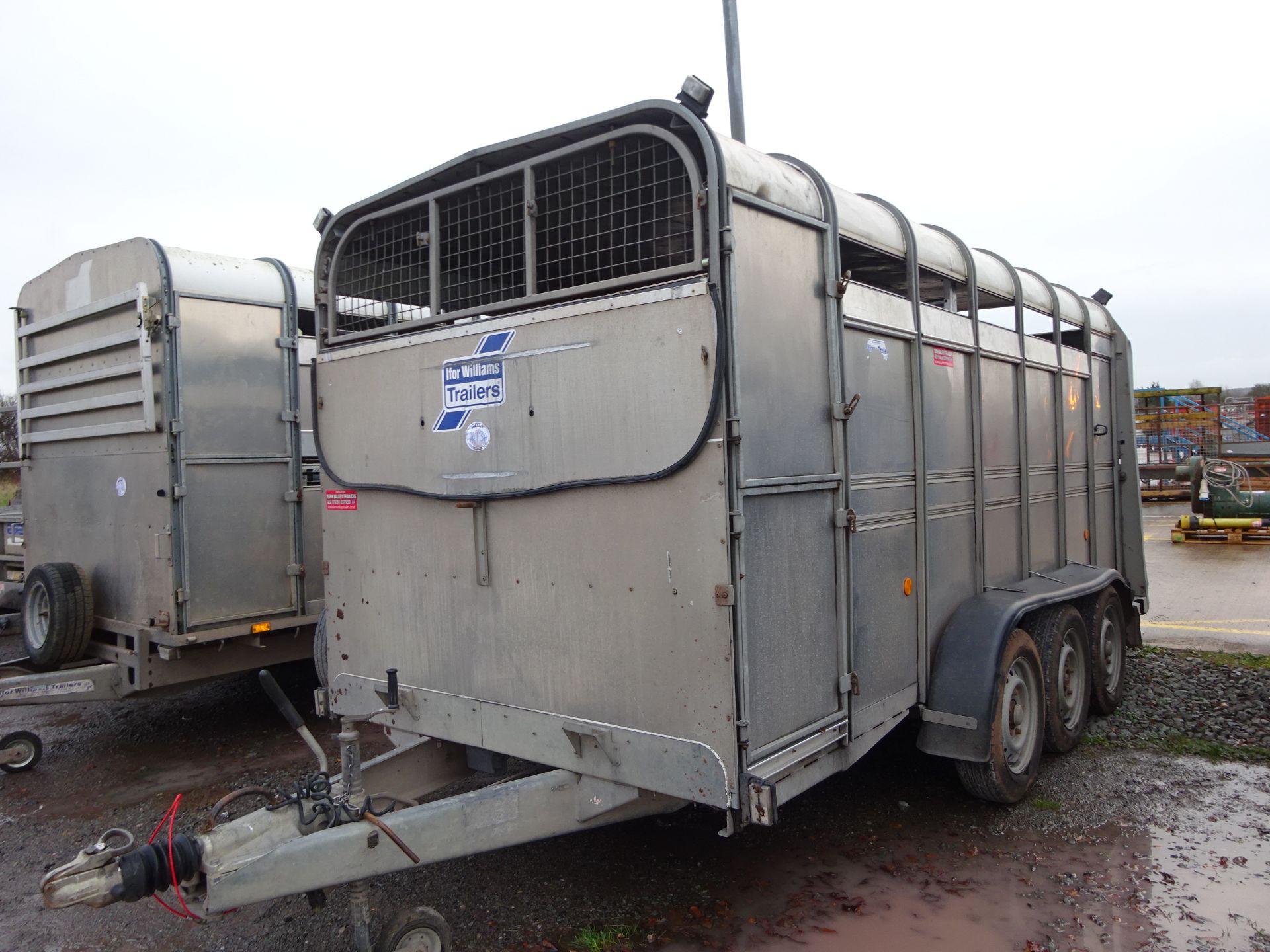 14FT IFOR WILLIAMS TRIAXLE CATTLE TRAILER