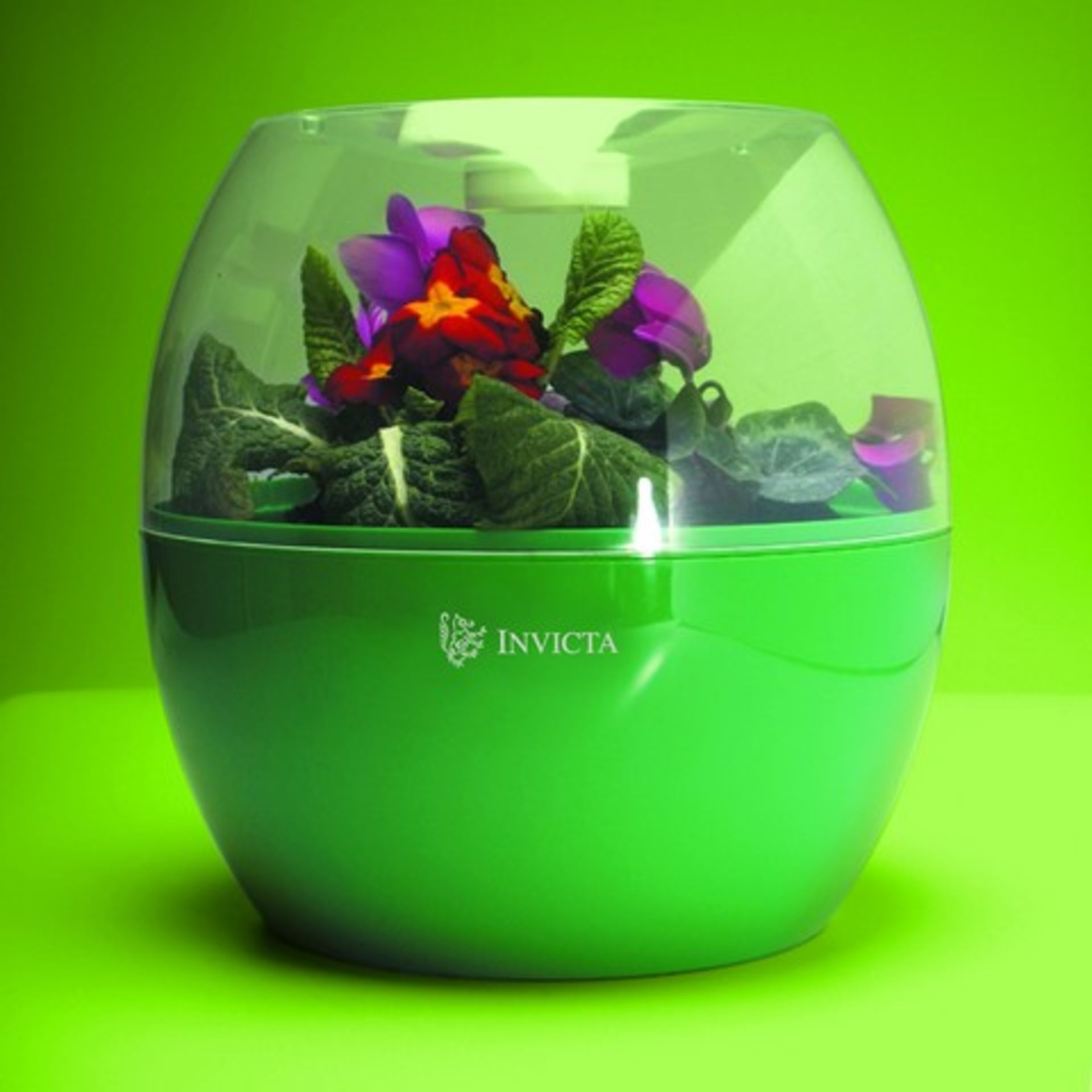 V Brand New Invicta Grow Bell ISP £15.99 (Supplies For Schools)