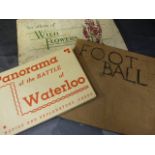Two albums (complete) of cigarette cards 'Wild Flowers and Footballers' along with Panorama of the