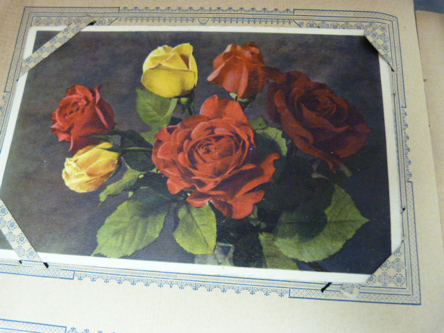 Vintage Postcard album containing mainly Victorian Postcards. To include Comical, and some of - Image 6 of 22