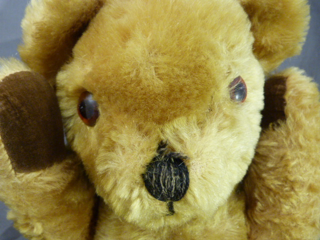 Antique Mohair teddy bear with growler and plastic eyes. - Image 4 of 4