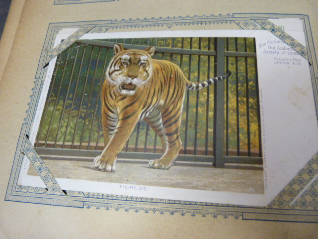 Vintage Postcard album containing mainly Victorian Postcards. To include Comical, and some of - Image 19 of 22