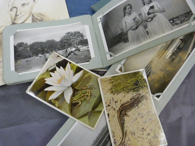 Collection of scrap books on the Royal Queen and the Duke along with various postcards and a print - Image 3 of 6