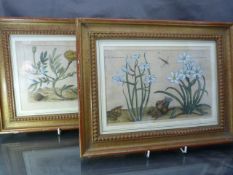 Early pair of Botanical lithographs (Chrispun de Passe) of flower studies in contemporary