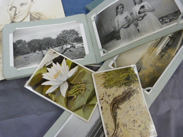 Collection of scrap books on the Royal Queen and the Duke along with various postcards and a print - Image 6 of 6