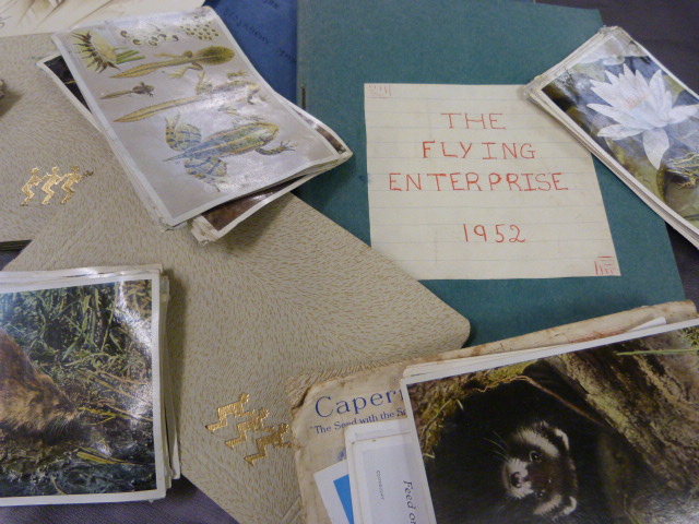 Collection of scrap books on the Royal Queen and the Duke along with various postcards and a print - Image 5 of 6