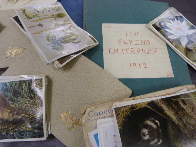 Collection of scrap books on the Royal Queen and the Duke along with various postcards and a print - Image 2 of 6