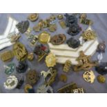 Large collection of Cap Badges and Hat badges from mostly local Regiments - Devonshire Regiment,
