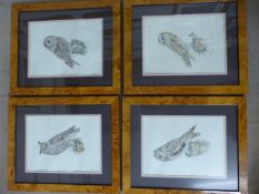 Set of four framed prints of Owls in walnut burr style frames.