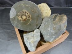 Fossils - To include a polished ammonite, intact ammonite, crystal and a scallop shell inset in