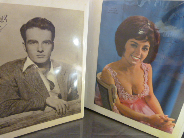 Two Signed Photograph albums containing names such as Dave Berry, Ken Dodd, Russ Conway, Susan