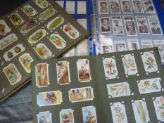 Three albums of various Cigarette cards, not stuck down. To include Plants, Animals etc