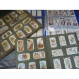 Three albums of various Cigarette cards, not stuck down. To include Plants, Animals etc