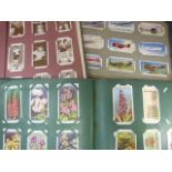 Three albums containing various Wills and Churchmans cigarette cards