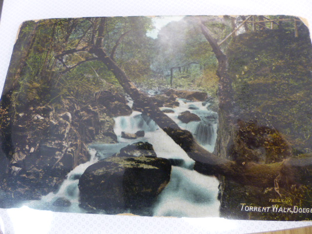 Small collection of Vintage Irish postcards - Image 12 of 44