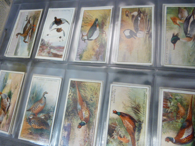 Mixed lot of Cigarette cards to include - Player's Game Birds and Wild Fowl, Churchman's Boxing - Image 16 of 18