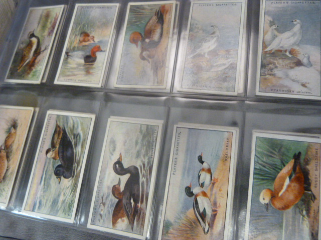 Mixed lot of Cigarette cards to include - Player's Game Birds and Wild Fowl, Churchman's Boxing - Image 17 of 18