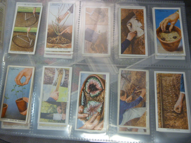 Mixed lot of Cigarette cards to include - Player's Game Birds and Wild Fowl, Churchman's Boxing - Image 4 of 18