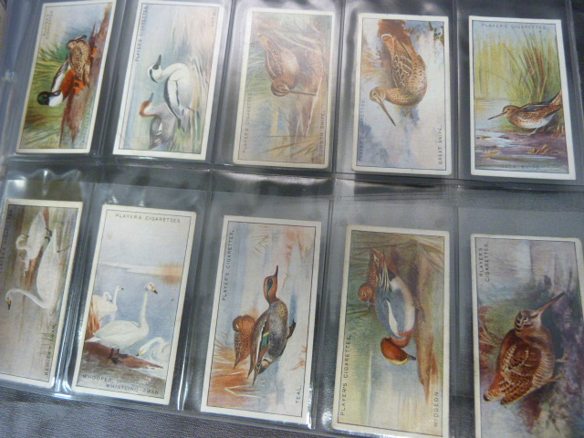 Mixed lot of Cigarette cards to include - Player's Game Birds and Wild Fowl, Churchman's Boxing - Image 18 of 18