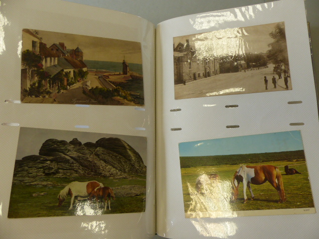 Collection of Local interest Postcards to include mainly Victorian cards. - Image 16 of 19