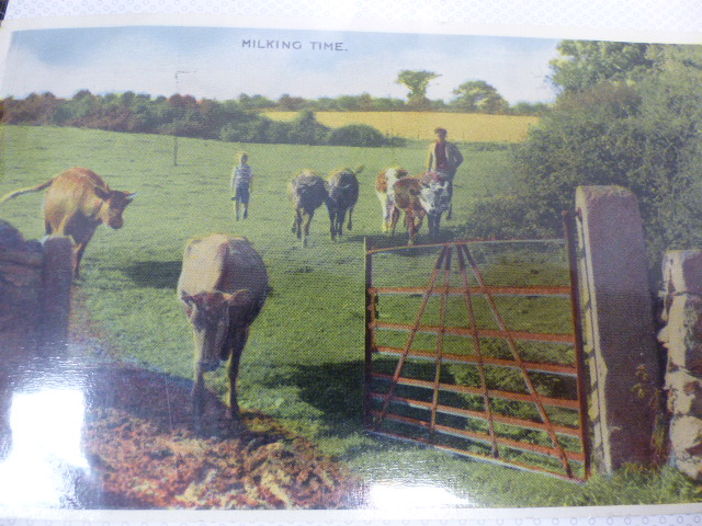 Small collection of Vintage Irish postcards - Image 2 of 44